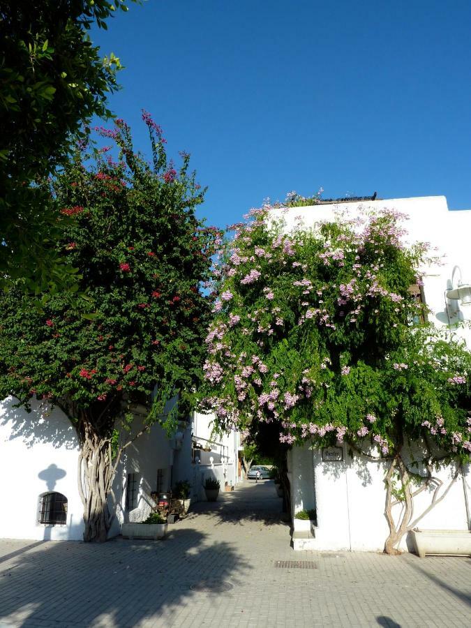 El Malenito Villa Agua Amarga  Eksteriør billede
